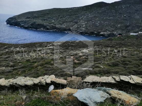 Αγροτεμάχια 35.000 τ.μ. προς πώληση, Χώρα Άνδρου