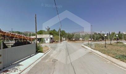 Οικόπεδο 580τ.μ. για πώληση-Βάρη- βάρκιζα » Ασύρματος αλίανθου