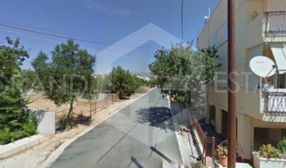 Οικόπεδο 410τ.μ. για πώληση-Βάρη- βάρκιζα » Ασύρματος αλίανθου