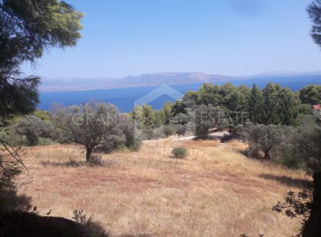 Οικόπεδο 8.500τ.μ. για πώληση-Κάλαμος » Κέντρο