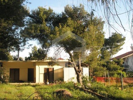 Οικόπεδο 600τ.μ. για πώληση-Νέα μάκρη » Κέντρο