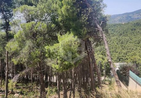 Οικόπεδο 1.059τ.μ. για πώληση-Αχαρνές » Θρακομακεδόνες