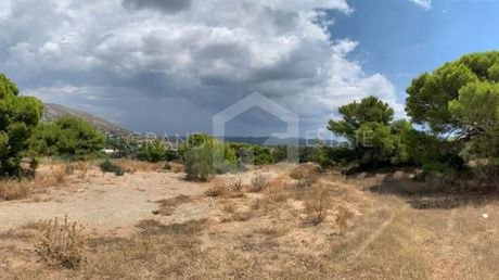 Οικόπεδο 2.360τ.μ. για πώληση-Ανάβυσσος » Μαύρο λιθάρι