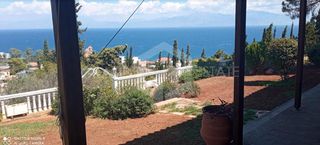 Βίλλα 300 τ.μ. για πώληση