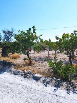 Αγροτεμάχια 1.748τ.μ. για πώληση-Αίγινα » Κυψέλη