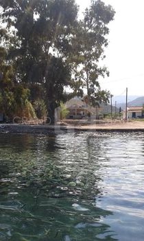 Οικόπεδο 800τ.μ. για πώληση-Τροιζήνα » Καλλονή