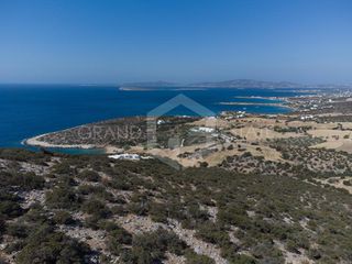 Αγροτεμάχια 168.000 τ.μ. για πώληση