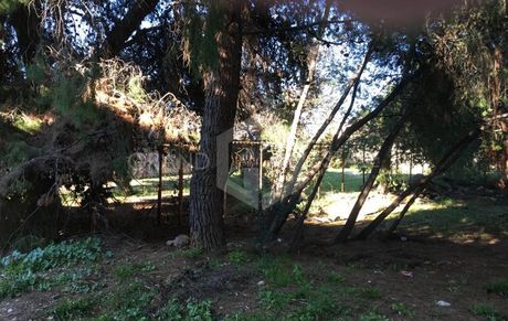 Οικόπεδο 628τ.μ. για πώληση-Αγία παρασκευή » Πευκάκια