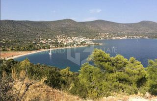 Οικόπεδο 12.000 τ.μ. για πώληση