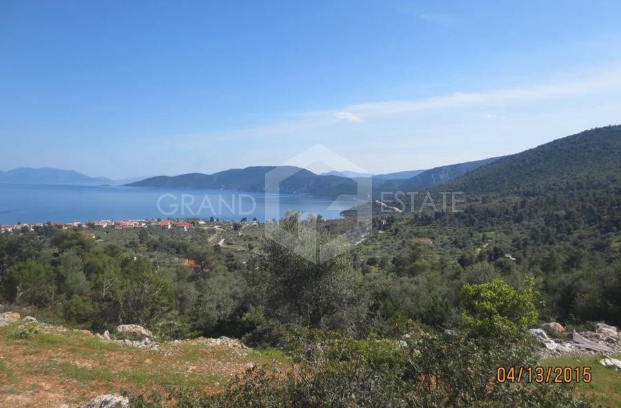 Οικόπεδο 12.000 τ.μ. προς πώληση, Κόρφος