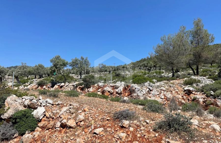 Οικόπεδο 12.000 τ.μ. προς πώληση, Κόρφος