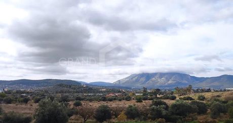Οικόπεδο 1.600τ.μ. για πώληση-Σπάτα » Χριστούπολη