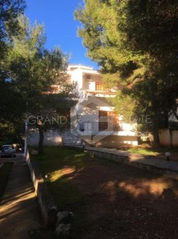 Μεζονέτα 380τ.μ. για πώληση-Αχαρνές » Θρακομακεδόνες
