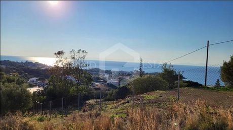 Οικόπεδο 594τ.μ. για πώληση-Ανάβυσσος » Ανάβυσσος κέντρο