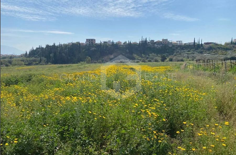 Οικόπεδο 30.000 τ.μ. προς πώληση, Μούλκι