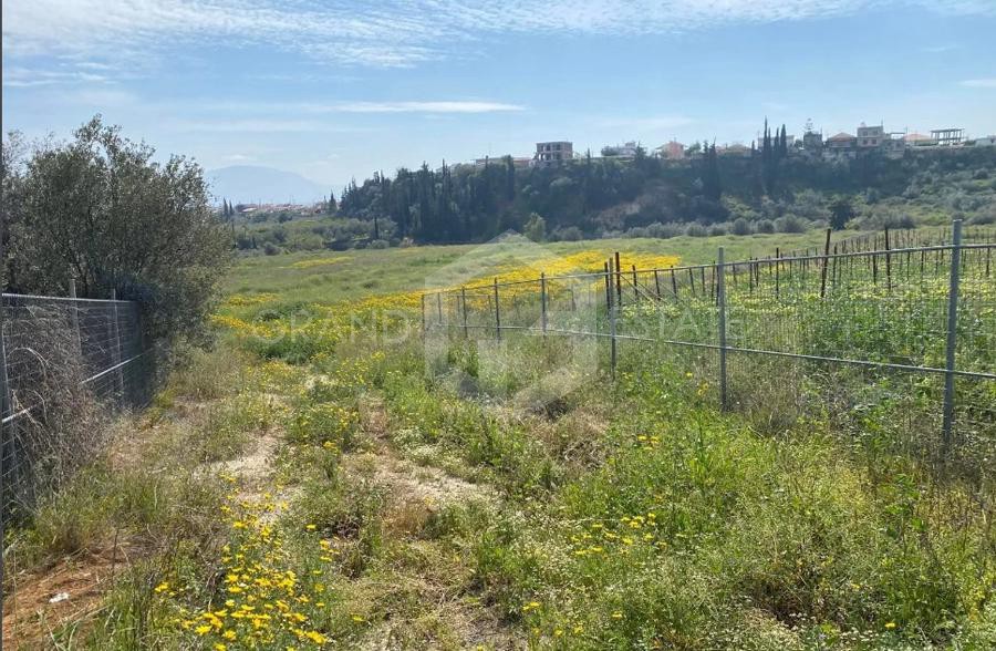 Οικόπεδο 30.000 τ.μ. προς πώληση, Μούλκι