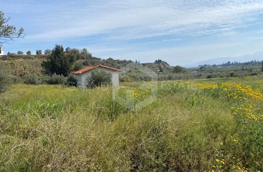 Οικόπεδο 30.000 τ.μ. προς πώληση, Μούλκι