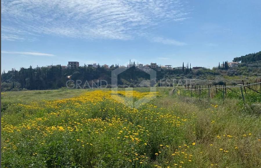 Οικόπεδο 30.000 τ.μ. προς πώληση, Μούλκι