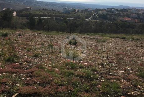 Οικόπεδο 1.330τ.μ. για πώληση-Ανθούσα