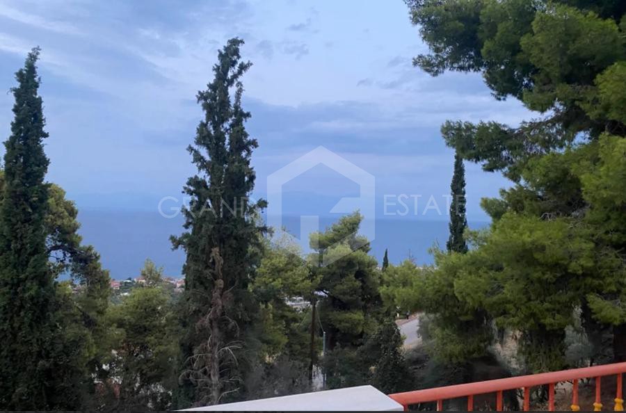 Μονοκατοικία 240 τ.μ. προς πώληση, Άνω Λουτρό