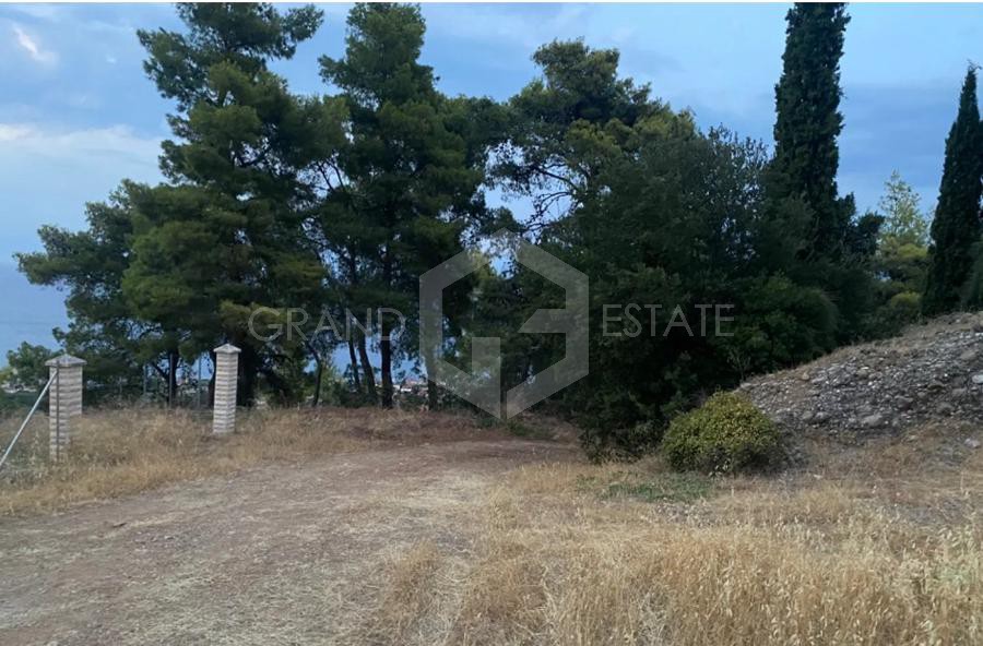 Μονοκατοικία 240 τ.μ. προς πώληση, Άνω Λουτρό