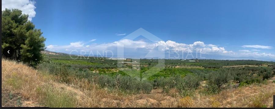 Οικόπεδο 38.000 τ.μ. προς πώληση, Μελίσσι Ξυλοκάστρου