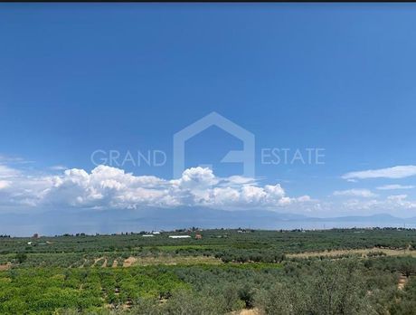 Οικόπεδο 38.000τ.μ. για πώληση-Ξυλόκαστρο » Μελίσσι