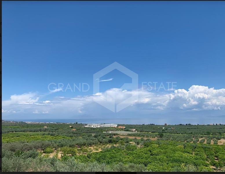 Οικόπεδο 38.000 τ.μ. προς πώληση, Μελίσσι Ξυλοκάστρου