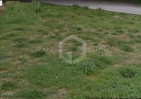 Οικόπεδο 6.370τ.μ. για πώληση-Αμαλιάδα » Ροβιάτα