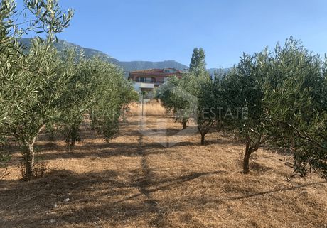 Αγροτεμάχια 811τ.μ. για πώληση-Αχαρνές » Αγία παρασκευή