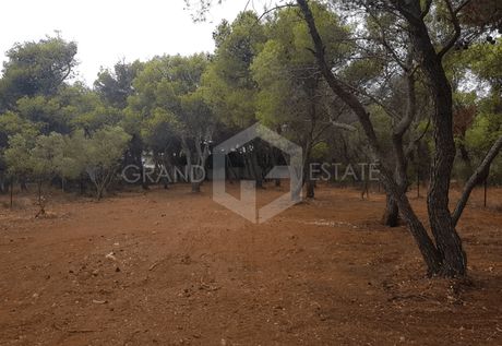 Οικόπεδο 1.014τ.μ. για πώληση-Αχαρνές » Θρακομακεδόνες
