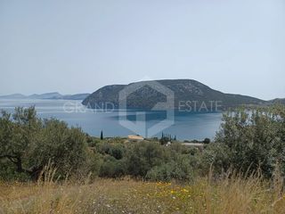 Οικόπεδο 6.000 τ.μ. για πώληση