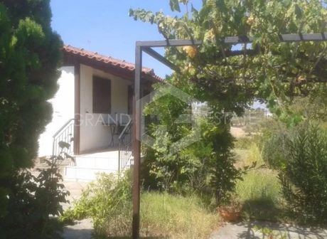 Οικόπεδο 500τ.μ. για πώληση-Κ. νέων παλατίων » Νέα παλάτια