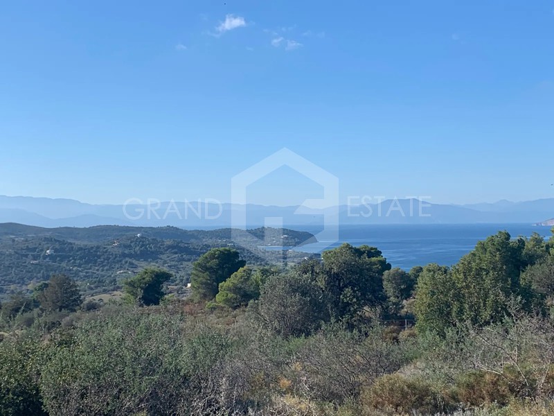 Αγροτεμάχια 200.000 τ.μ. για πώληση, Αργολίδα, Κρανίδι