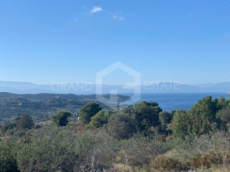 Αγροτεμάχια 200.000τ.μ. για πώληση-Κρανίδι » Παναγίτσα