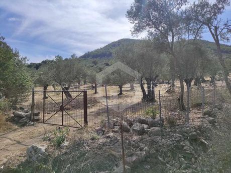 Οικόπεδο 3.850τ.μ. για πώληση-Λέσβος - μυτιλήνη » Λαδάδικα