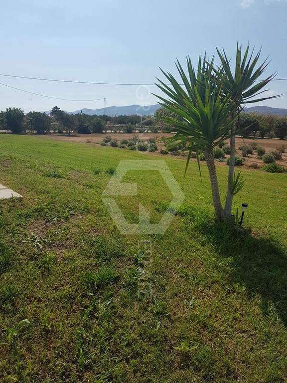 Μονοκατοικία 120 τ.μ. προς πώληση, Κάμπος Πάρου