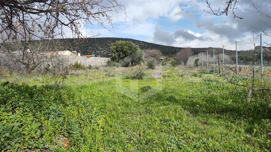 Οικόπεδο 1.780 τ.μ. προς ενοικίαση, Αθήνα - Ανατολικά Προάστια, Κορωπί