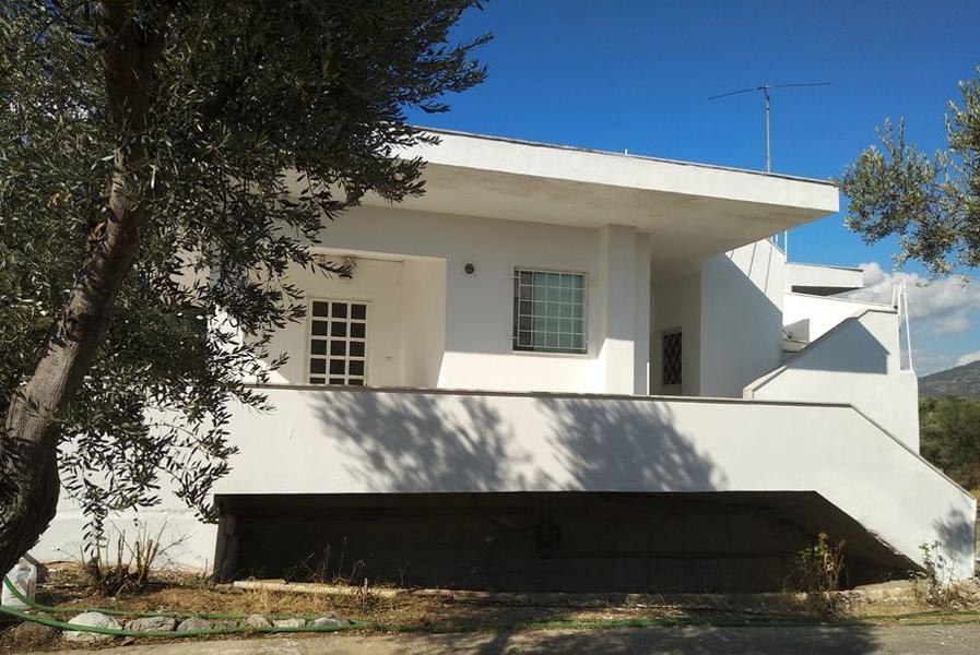 Μονοκατοικία 163 τ.μ. προς πώληση, Μακρυχώρι Κονιστρών