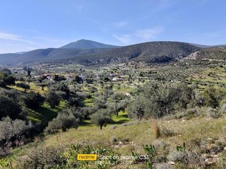 Οικόπεδο 8.000 τ.μ. για πώληση, Αργολίδα, Κρανίδι-thumb-3