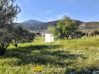 Οικόπεδο 8.000 τ.μ. για πώληση, Αργολίδα, Κρανίδι-thumb-2