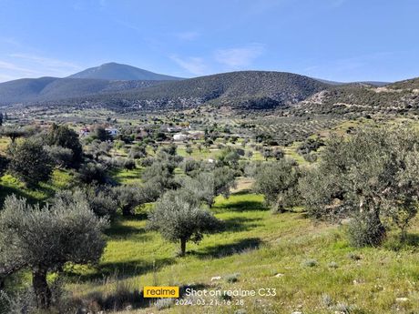 Οικόπεδο 8.000τ.μ. για πώληση-Κρανίδι » Ροζαίικα