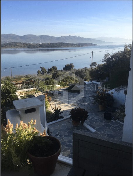 Μονοκατοικία 320 τ.μ. προς πώληση, Πάχη