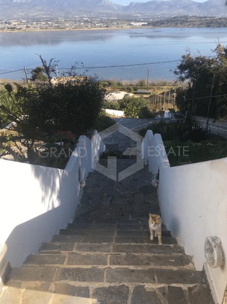 Μονοκατοικία 320 τ.μ. προς πώληση, Πάχη