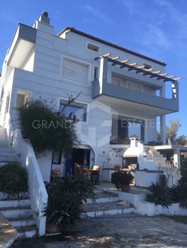 Μονοκατοικία 320τ.μ. για πώληση-Μέγαρα » Πάχη