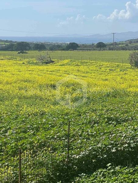 Αγροτεμάχια 13.000 τ.μ. προς πώληση, Αγιασσός
