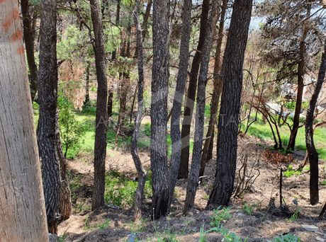 Land plot 1.031sqm for sale-Acharnes » Thrakomakedones
