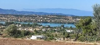 Αγροτεμάχια 39.896 τ.μ. προς πώληση, Βερβερούδα-thumb-9