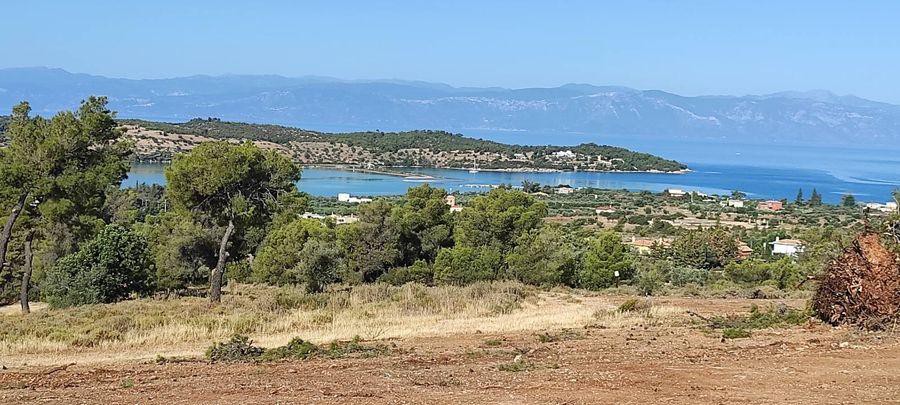 Αγροτεμάχια 39.896 τ.μ. προς πώληση, Βερβερούδα