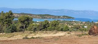 Αγροτεμάχια 39.896 τ.μ. για πώληση